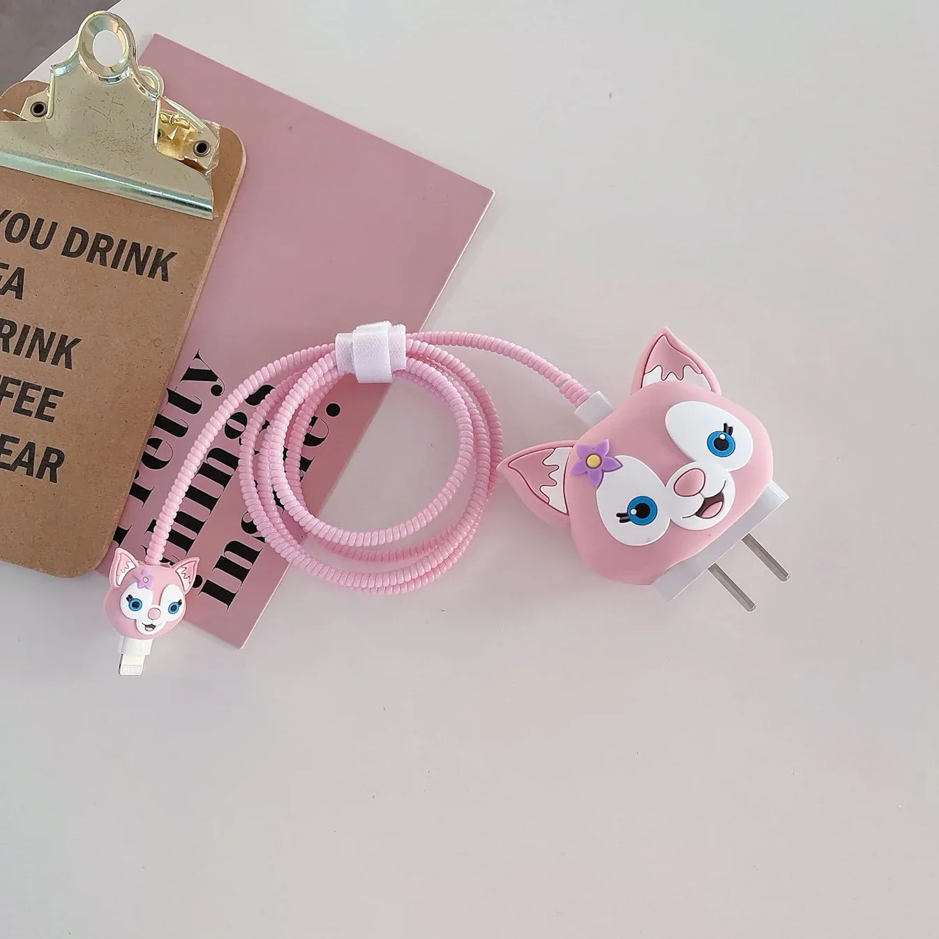 2pin Charger Protector Case